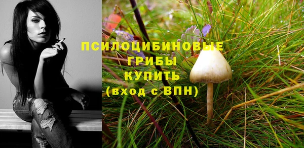 скорость Гусь-Хрустальный