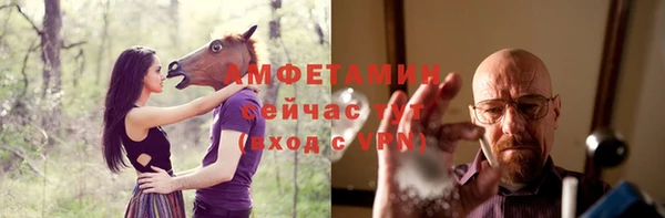 индика Сафоново